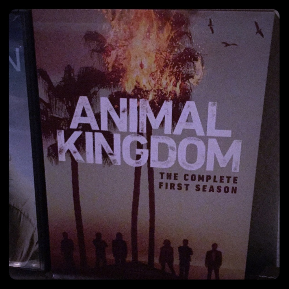 Animal Kingdom the complete First Season DVD’s
